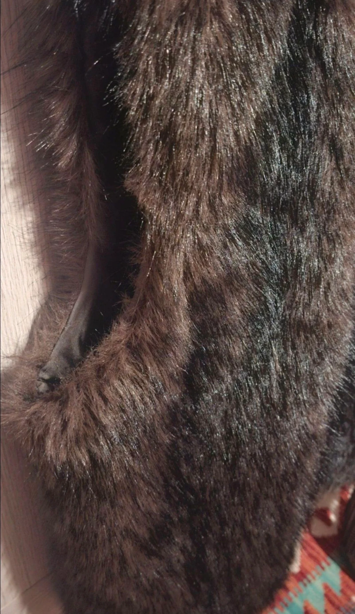 Vest – photo 3